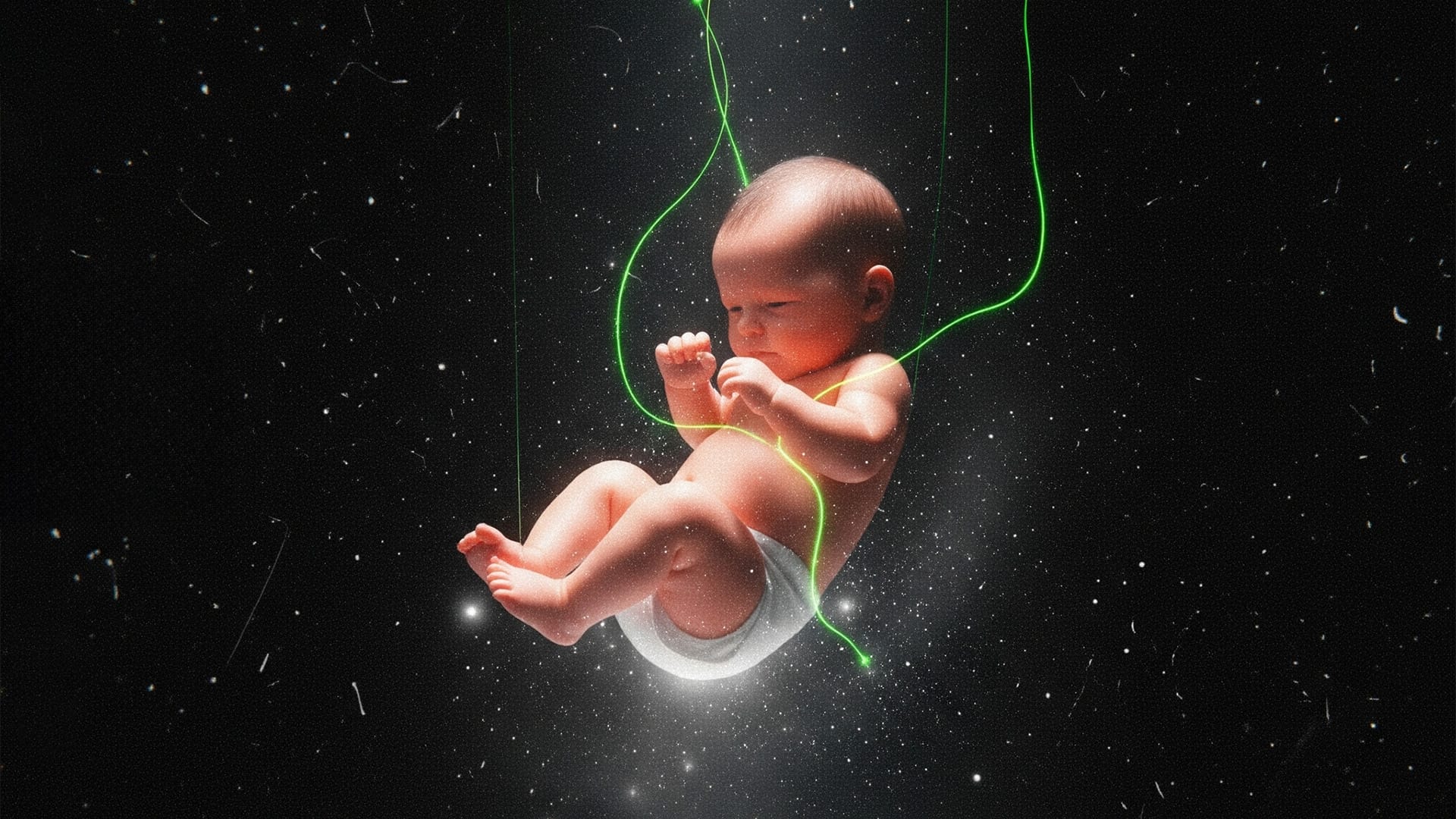 What if we had protected life from the beginning?