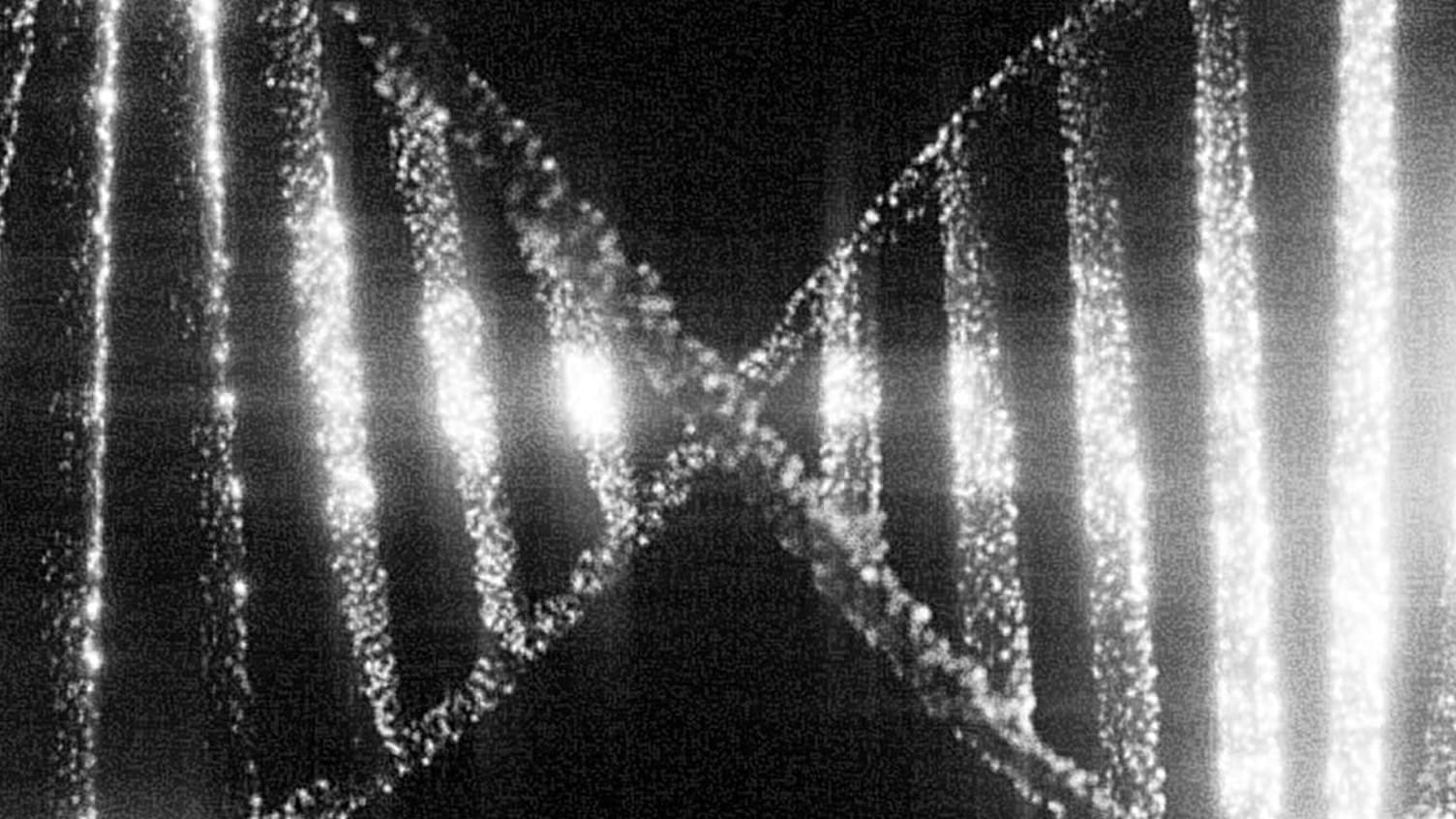 Modern Eugenics in the Western World