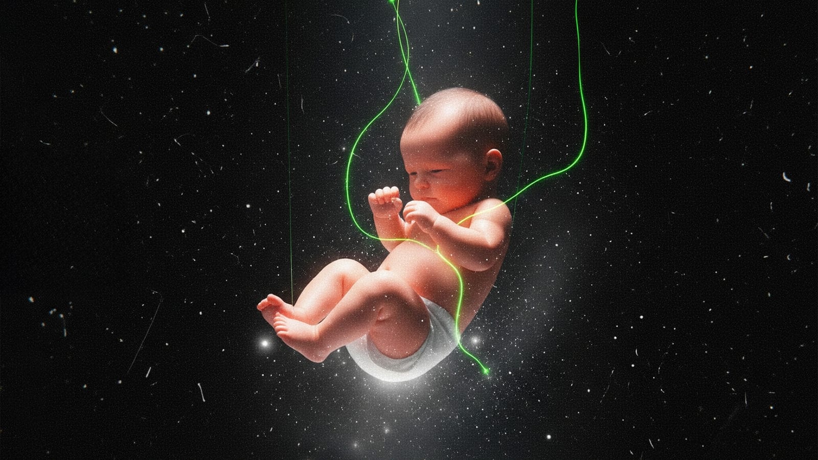 What if we had protected life from the beginning? post image