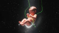 What if we had protected life from the beginning? post image